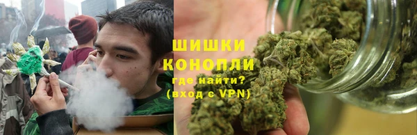 spice Аркадак
