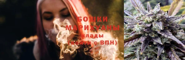 spice Аркадак