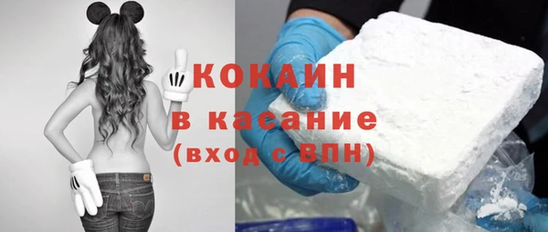 spice Аркадак