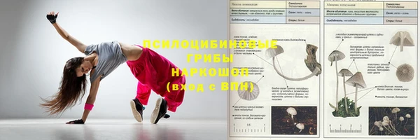 apvp Балахна