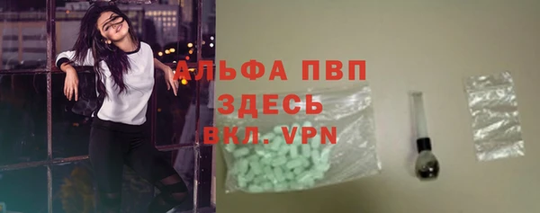 сатива Баксан