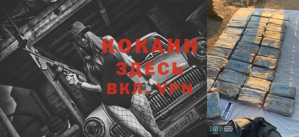spice Аркадак