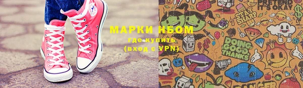 сатива Баксан